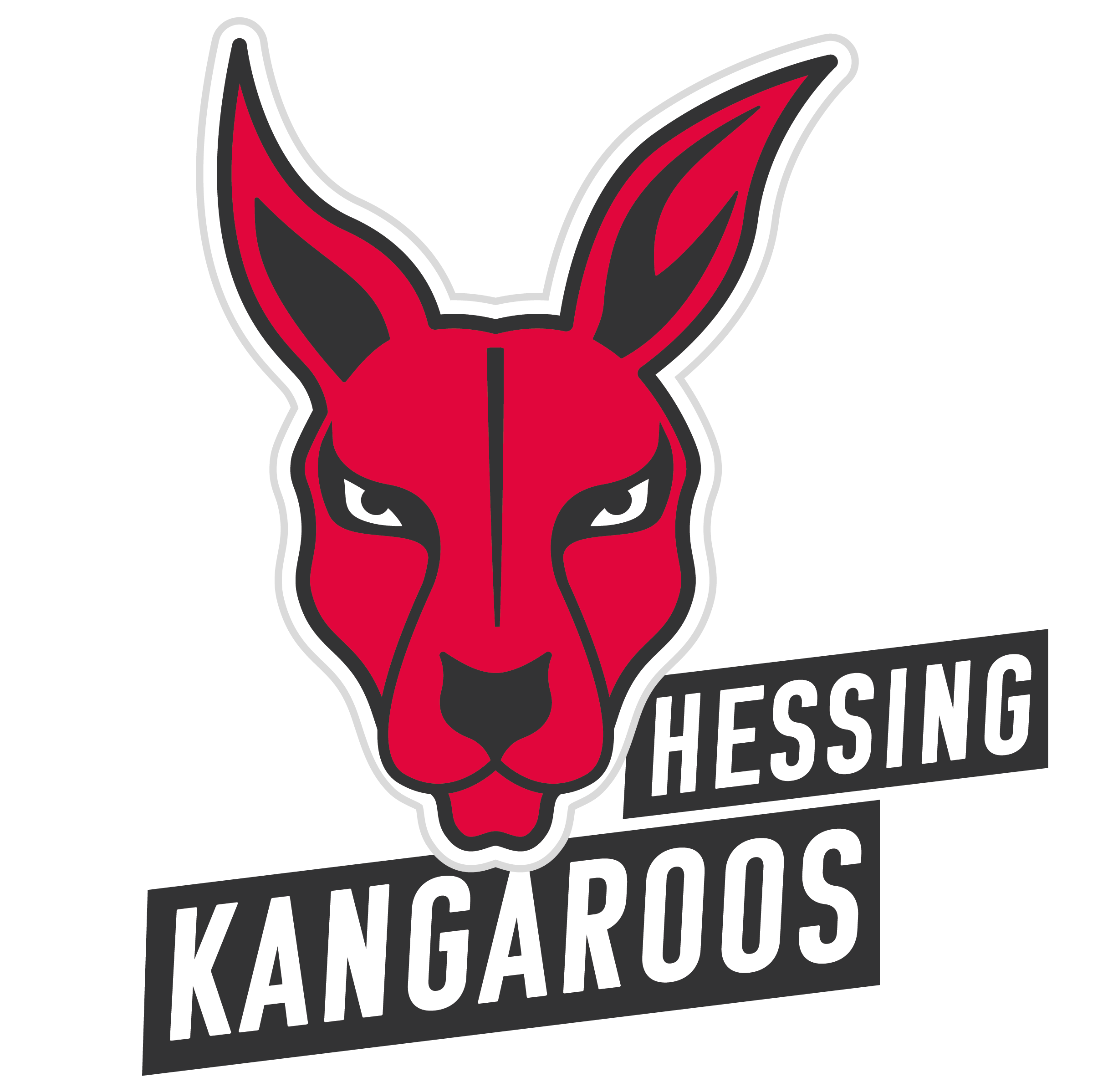 logo_573 BG Hessing Leitershofen-1